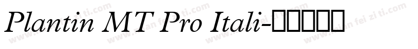 Plantin MT Pro Itali字体转换